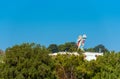 Hill View Stadium - Hanuman Statue, Puttaparthi, India. Copy space for text