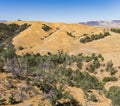 Hills Above Bakersfield Southern California