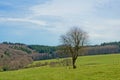 Hills of the Ardennes, with meadows and forest Royalty Free Stock Photo