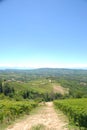 Hills around Albaretto Torre