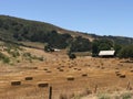 Hay on the Countryside