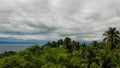 Hills with Coconut Trees 02