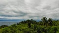 Hills with Coconut Trees 03