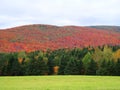 Hills of color offset by bright green foreground, Quebec Canada