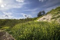 Hills and the field covered in greens and flowers gleaming under the blue cloudy sky Royalty Free Stock Photo