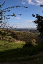 Hills with fields in spring framed by trees Royalty Free Stock Photo