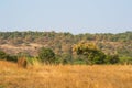 Van Vihar National Park Bhopal