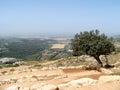 Hills of Galil Royalty Free Stock Photo