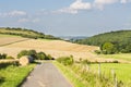 Hills And Golden Fields Royalty Free Stock Photo