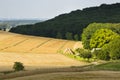 Hills And Golden Fields Royalty Free Stock Photo