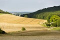 Hills And Golden Fields Royalty Free Stock Photo