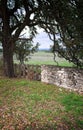 Vertical: Scenic Texas Hill Country rural road with stone fence, wooden gate, pastures and Live Oak tree. Royalty Free Stock Photo