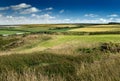 Hills and grasslands