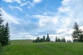 Hills with green grass and fir trees in summer against the blue sky and white clouds. Royalty Free Stock Photo