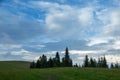 Hills with green grass and fir trees in summer against the blue sky and white clouds. Royalty Free Stock Photo