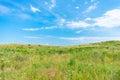 Hills with Native Plants at Northerly Island in Chicago during the Summer Royalty Free Stock Photo