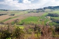 Hills of Imola Royalty Free Stock Photo