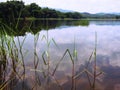 Hills and lake clearly reflected in the bright Royalty Free Stock Photo