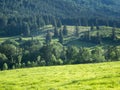 Hills landscape with forest and pasture Royalty Free Stock Photo