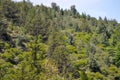 Hills Landscape in Villa General Belgrano, Cordoba Royalty Free Stock Photo