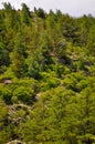 Hills Landscape in Villa General Belgrano, Cordoba Royalty Free Stock Photo