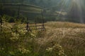 The hills of Maramures. Landscape with wildflowers and hay heads. Morning with dew and fog.