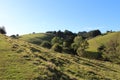 Hills, Meadows, and bush on a New Zealand Sheep Farm Royalty Free Stock Photo