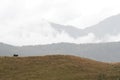 Hills and the mountains covered in clouds in New Zealand Royalty Free Stock Photo