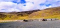 Hills mountains Iceland landscape green grass cliff stones rain clouds sheep