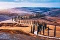 Hills, olive gardens and small vineyard under rays of morning sun, Italy, Tuscany. Famous Tuscany landscape with curved road and