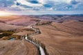 Hills, olive gardens and small vineyard under rays of morning sun, Italy, Tuscany. Famous Tuscany landscape with curved road and Royalty Free Stock Photo