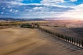 Hills, olive gardens and small vineyard under rays of morning sun, Italy, Tuscany. Famous Tuscany landscape with curved road and Royalty Free Stock Photo