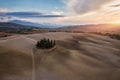 Hills, olive gardens and small vineyard under rays of morning sun, Italy, Tuscany. Famous Tuscany landscape with curved road and Royalty Free Stock Photo