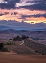 Hills, olive gardens and small vineyard under rays of morning sun, Italy, Tuscany. Famous Tuscany landscape with curved road and