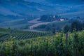 Hills in Oltrepo` Pavese covered in vineyards and fields at sunset, Italy Royalty Free Stock Photo