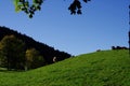 Hills in a pasture with cows resting on them under a blue sky