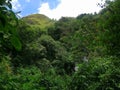 hills of Sri Lanka near mandaramnuwara Royalty Free Stock Photo