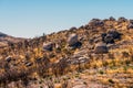 Hills with stone in mountain region in Portugal. Burnt trees after a fire in the mountains. Ecological catastrophe Royalty Free Stock Photo