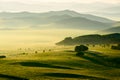 The hills and trees in the meadow Royalty Free Stock Photo