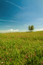 Hills of Tuscany