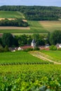 Hills with vineyards and church in Urville, champagne vineyards in Cote des Bar, Aube, south of Champange, France