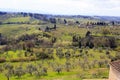 Hills, vineyards and cypress trees Royalty Free Stock Photo