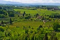 Hills, vineyards and cypress trees, Tuscany landscape near San Gimignano