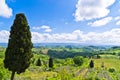 Hills, vineyards and cypress trees, Tuscany landscape near San Gimignano Royalty Free Stock Photo