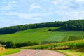 Hills with vineyards near Urville, vineyards in Cote des Bar, Aube, south of Champange, France