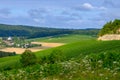 Hills vineyards in Urville, champagne vineyards in Cote des Bar, Aube, south of Champange, France