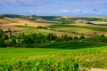 Hills with vineyards in Urville, champagne vineyards in Cote s Bar, Aube, south of Champange, France