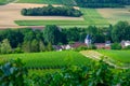 Hills with vineyards in Urville, champagne vineyards in Cote des Bar, Aube, south of Champange, France