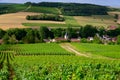 Hills with vineyards in Urville, champagne in Cote des Bar, Aube, south of Champange, France