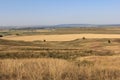 Hills in wheat field / bashkiria bashkortostan, russia